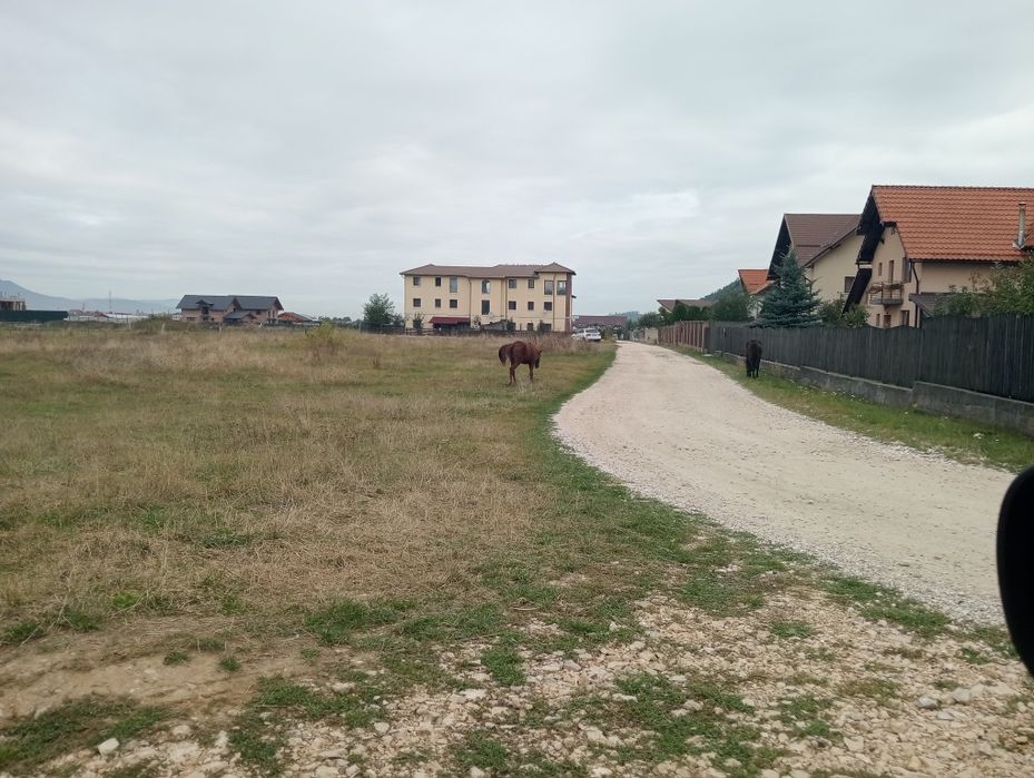 Teren intravilan de construcții case 800+900 metri la munte Glejerie R
