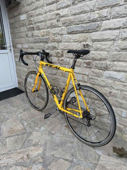 Ideal Team Rynkeby XL