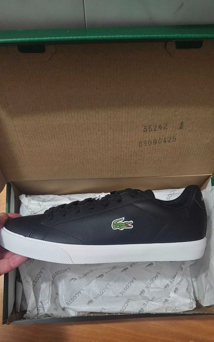 Lacoste shoes number 43