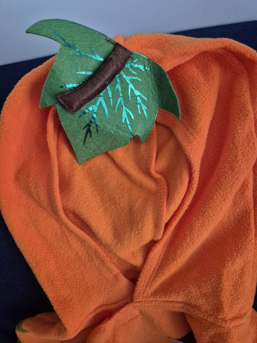 Vand costum Halloween, dovlecel