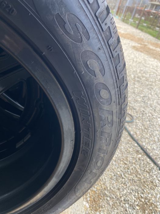 255/50/19 Пирели Зимни