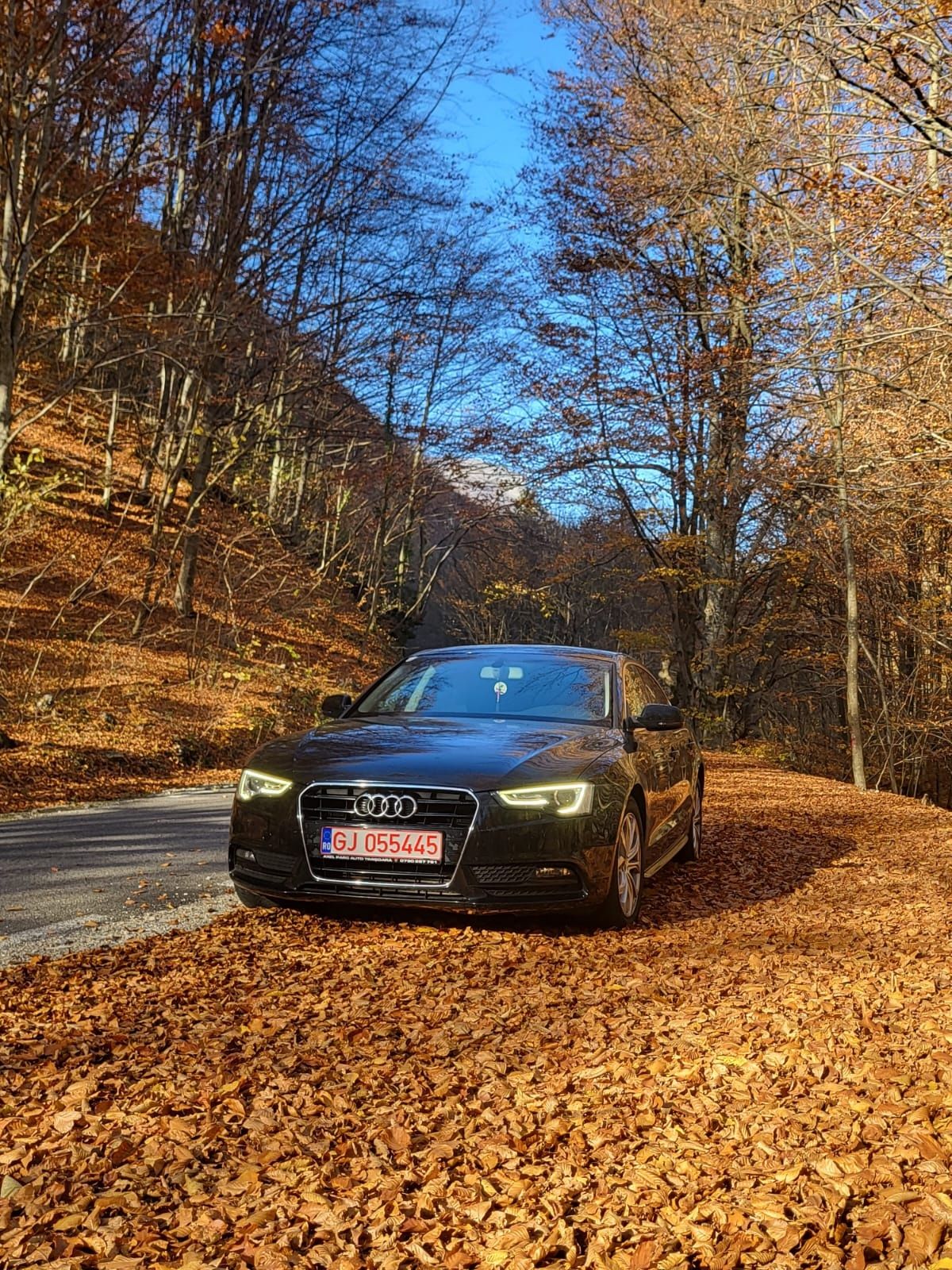 Vand Audi A5 sline