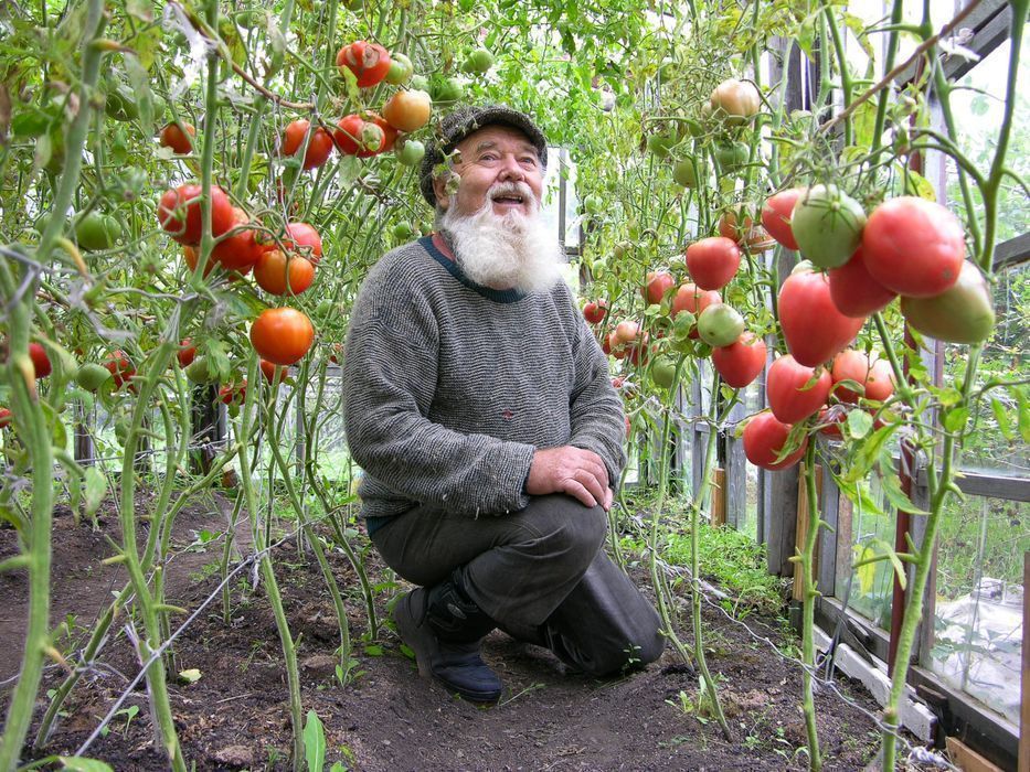 Теплицы из поликарбоната с гарантией 20 лет! Доставка, установка!