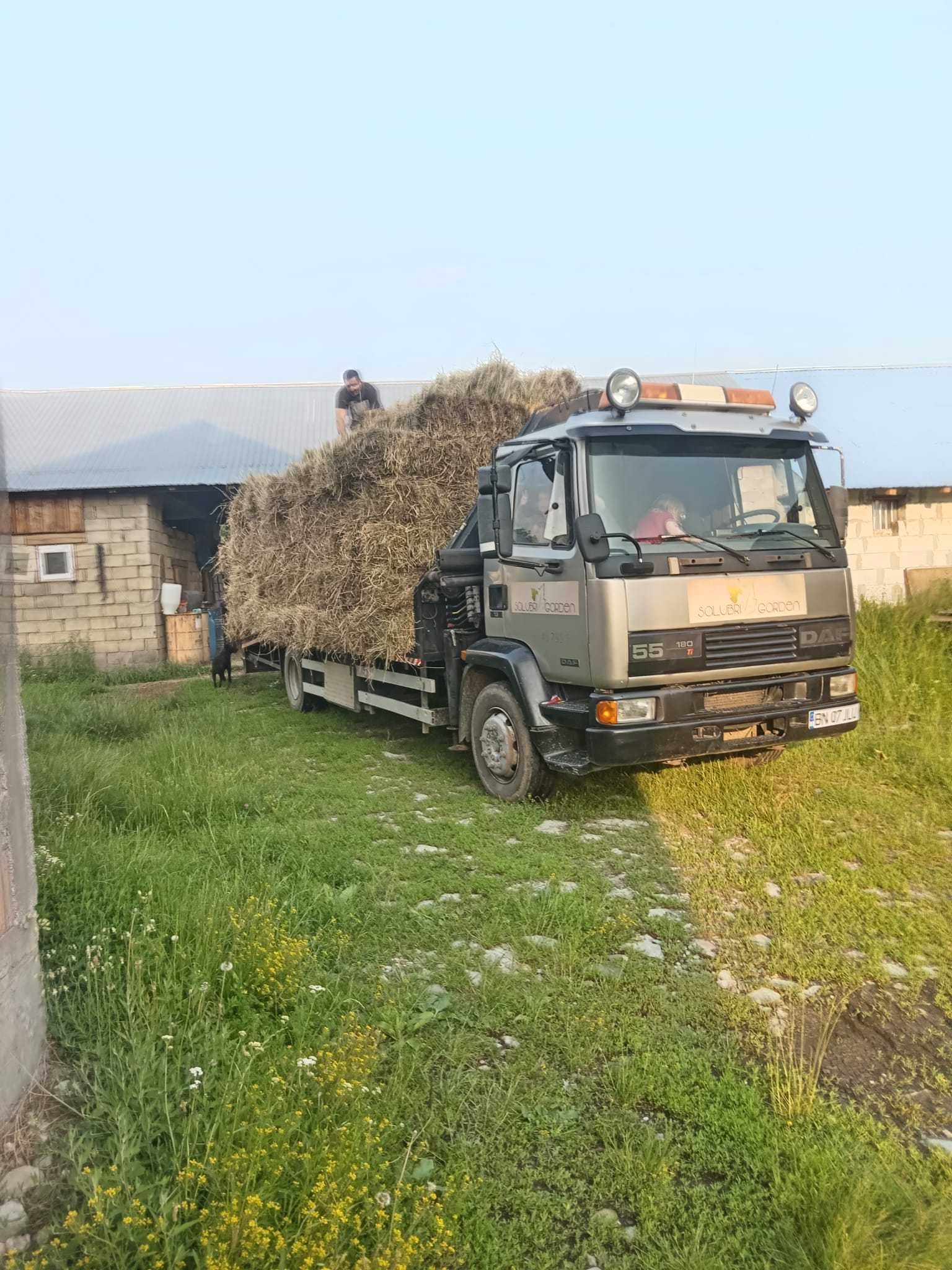 Camion cu platforma Daf