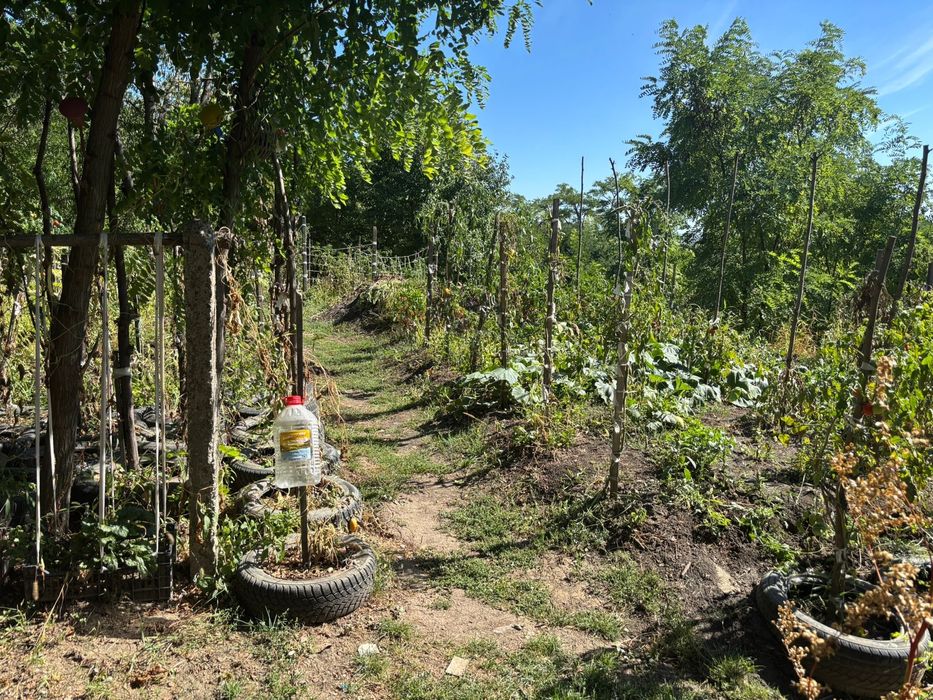 Casă de vănzare în Răchiți