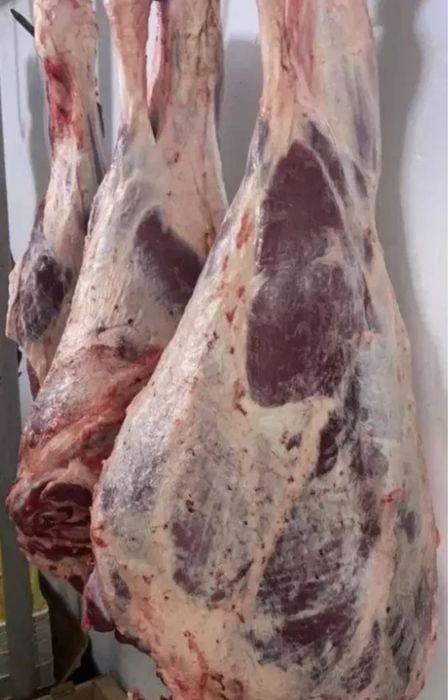 Продам мясо говядины