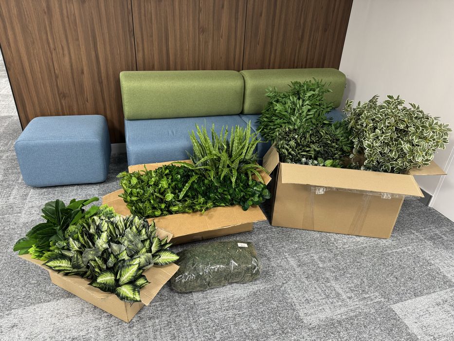 Новые ботанические растения (копии).