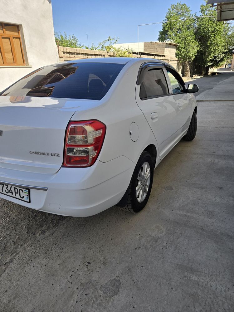 2018 Cobalt actomat