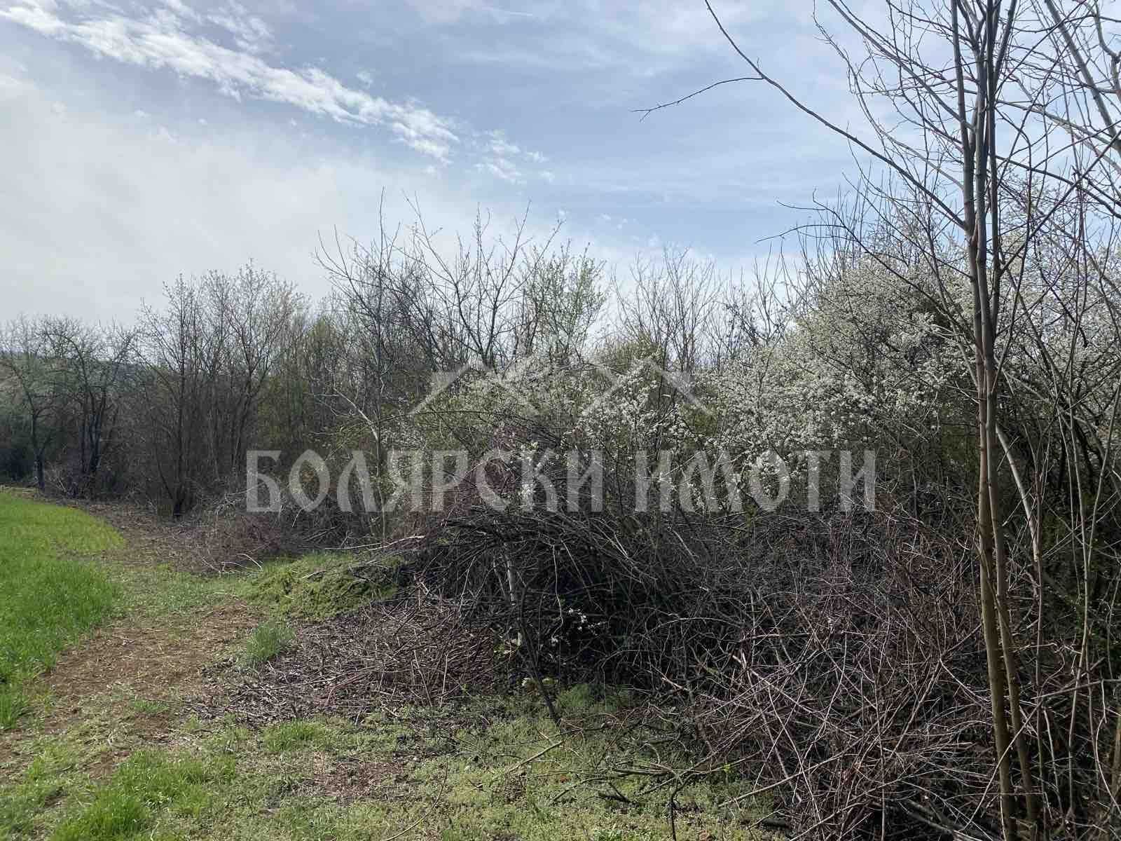 Дворно място в село Русаля