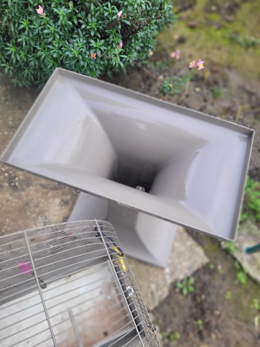 Colivie papagal imensa