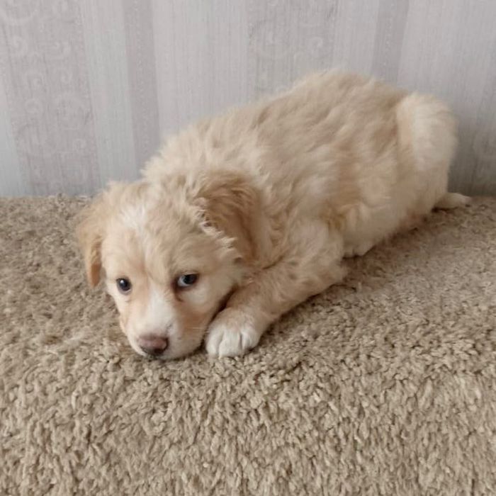 Солнечный малыш с добром доброму человеку