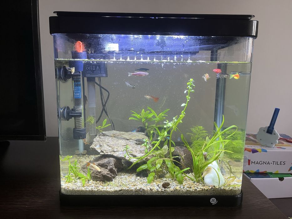 Acvariu complet echipat