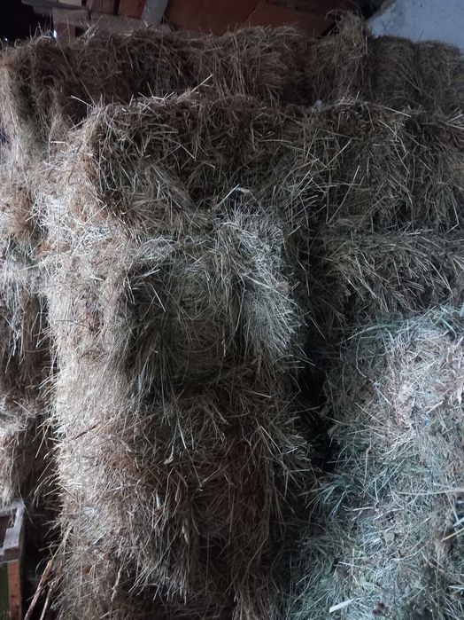 Vând baloți de fân