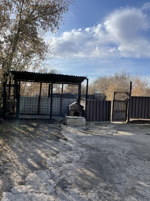 Продам дом в Долинке