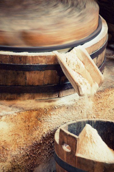 Маккажўхори уни оптом сотилади