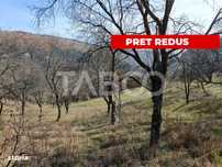 Teren extravilan pretabil cabana 1300 mp utilitati Inuri Vintu de Jos