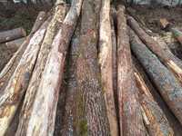 Vând lemn rotund stejar