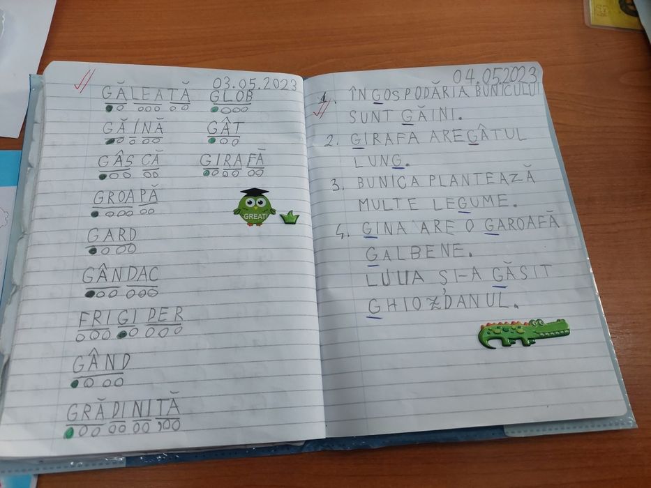 Ofer meditații la limba romana, matematica si logica