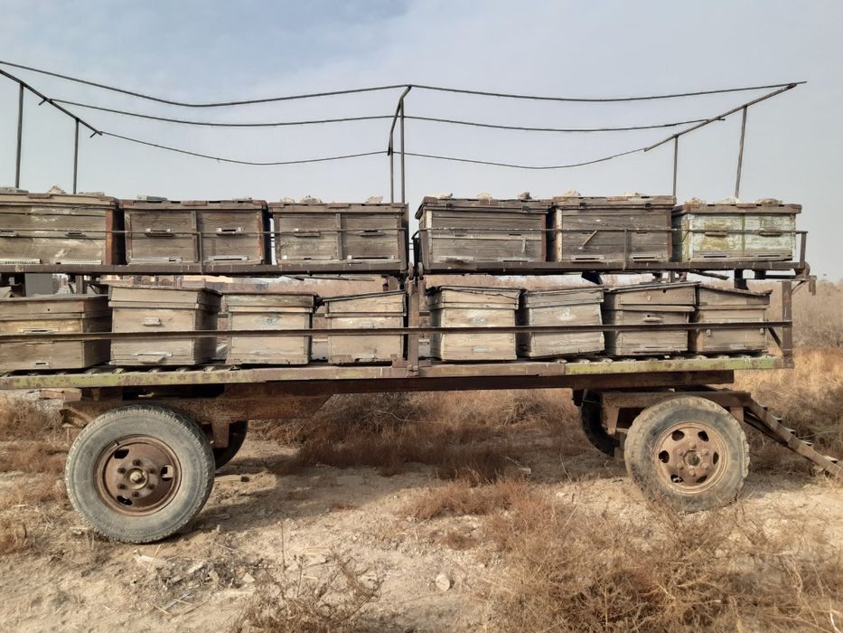 Пчелоприцеп на 36 ульев