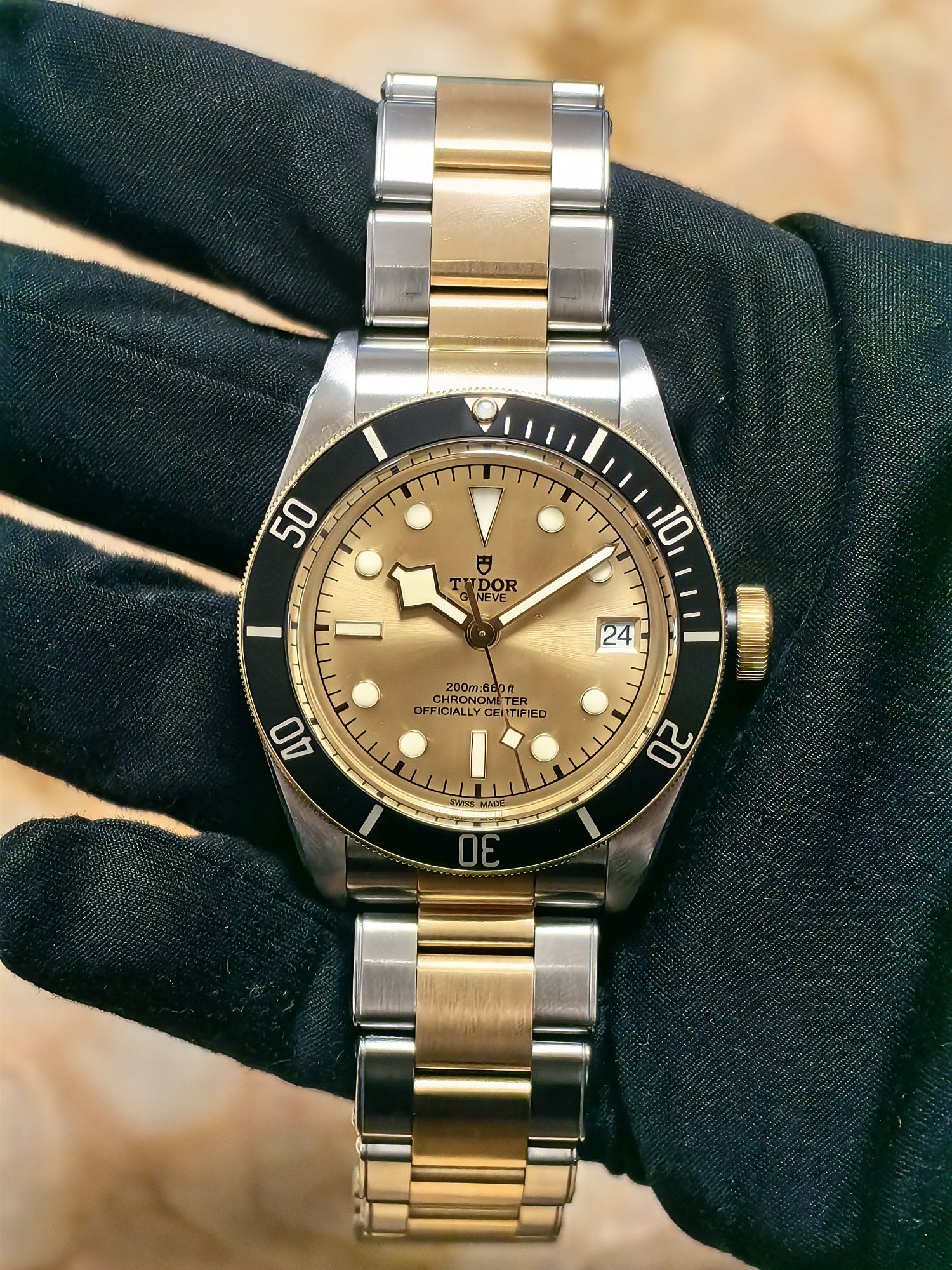 Tudor Black Bay S&G full set M79733N