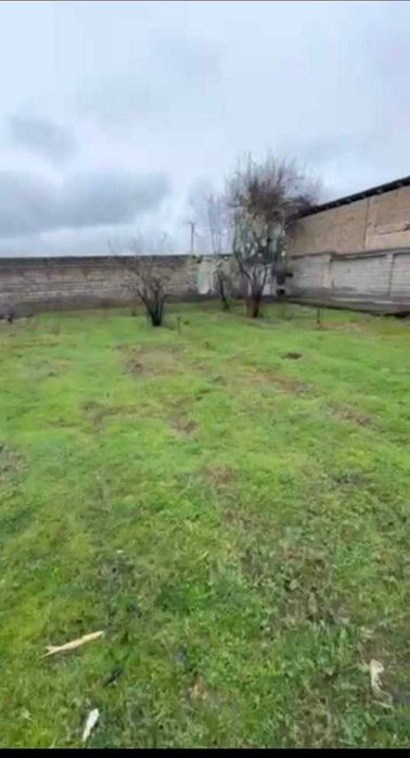 Баликчи махаля  11,8 соток  Срочно продаётся !!!   6.000$ за сотку