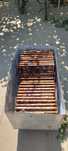 Vand topitor de rame 23 rame 1/1 sau 46 rame 1/2