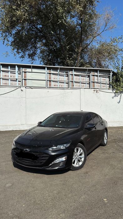 Malibu XL 2023 Ideal