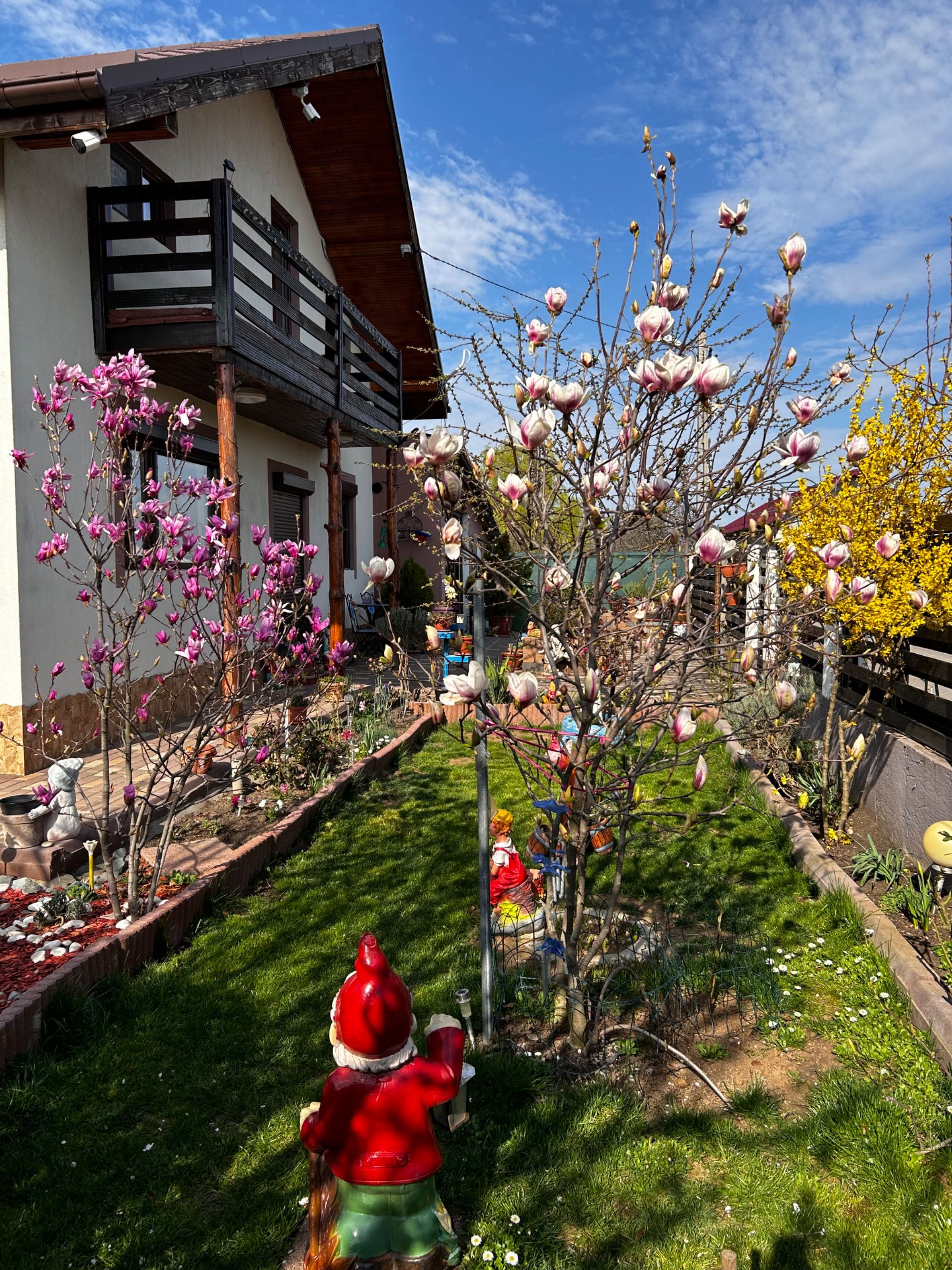 Casă 5 camere, Mihăilești