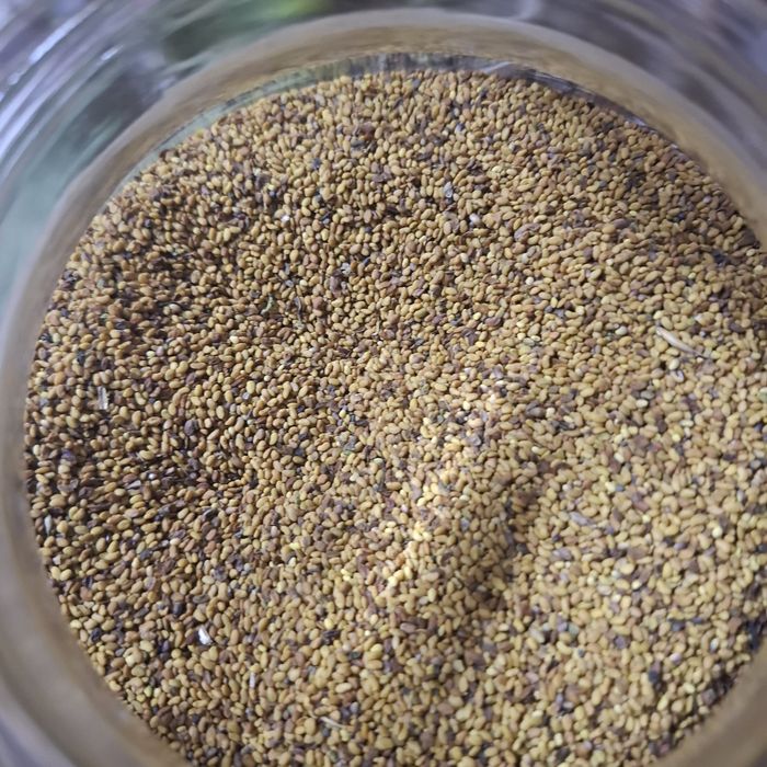 Pomi fructiferi:Ciresi.Alun.Nuc.Prun.Castan.Mar.Seminte Gizdei+Lucerna