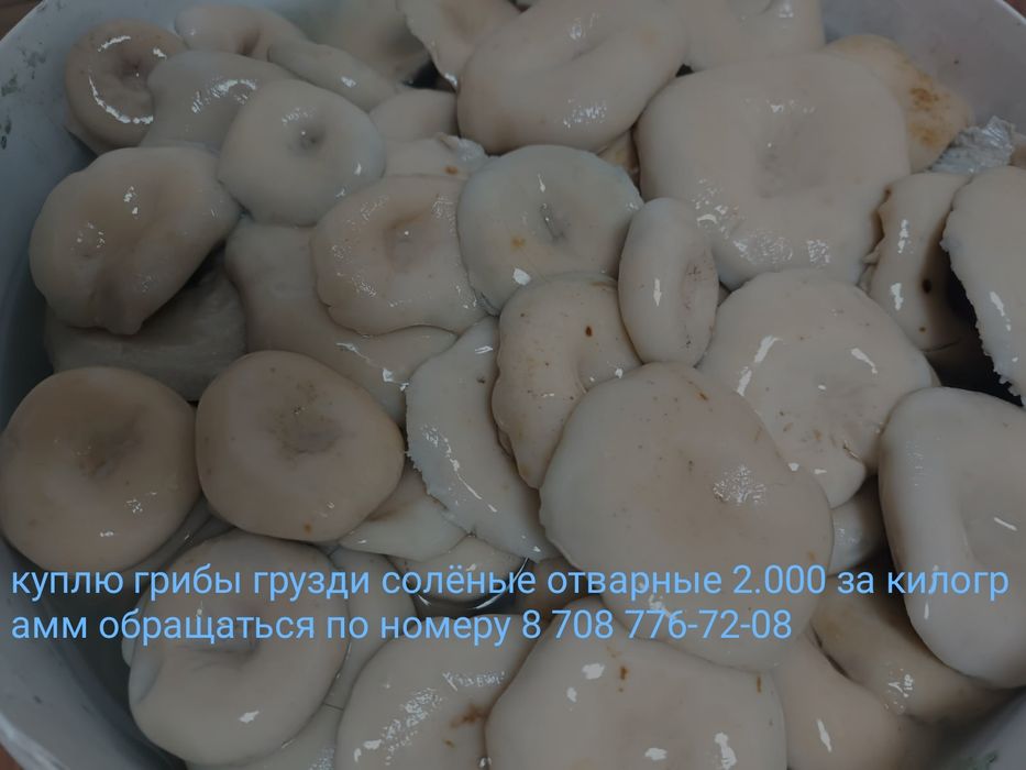 Закупаем грузди солёные