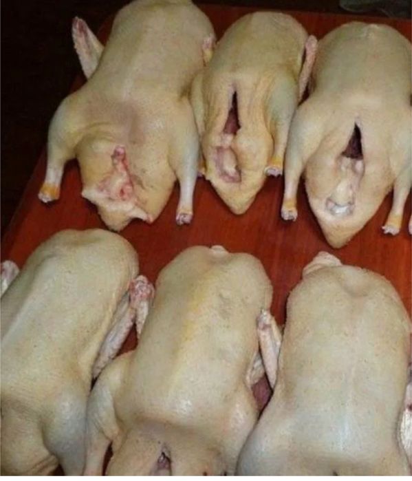 Гуси мясо птица выращенные в селе личное подворье