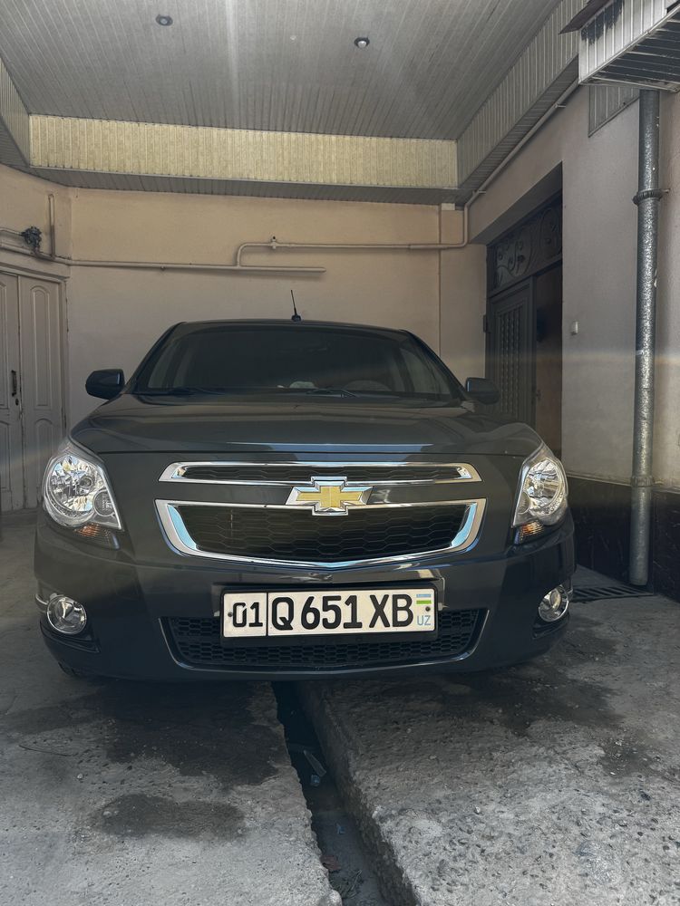 Cobalt mokriy 2022