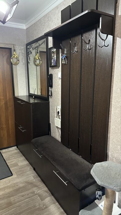 Прихожая 210 х 30