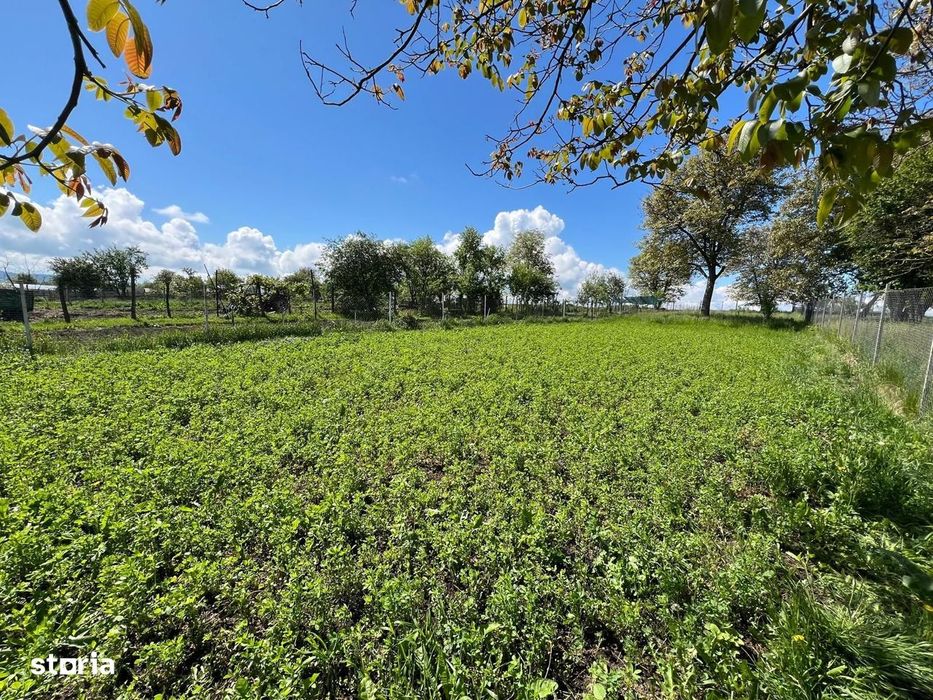 Casa 6 camere - teren 1700 mp, curte+gradina - Rosia