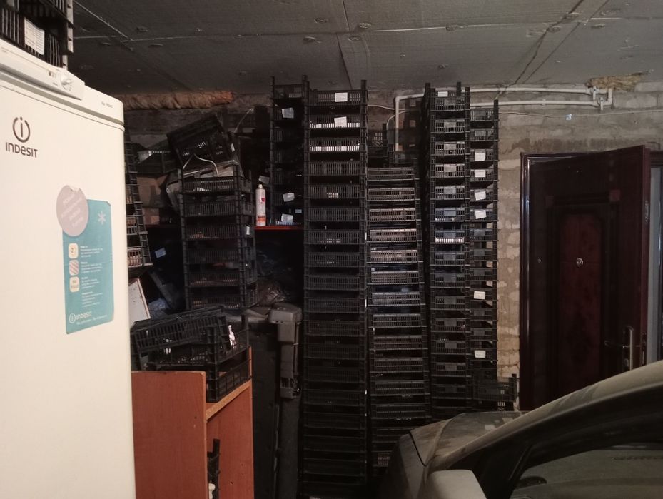 Ящики пластиковые