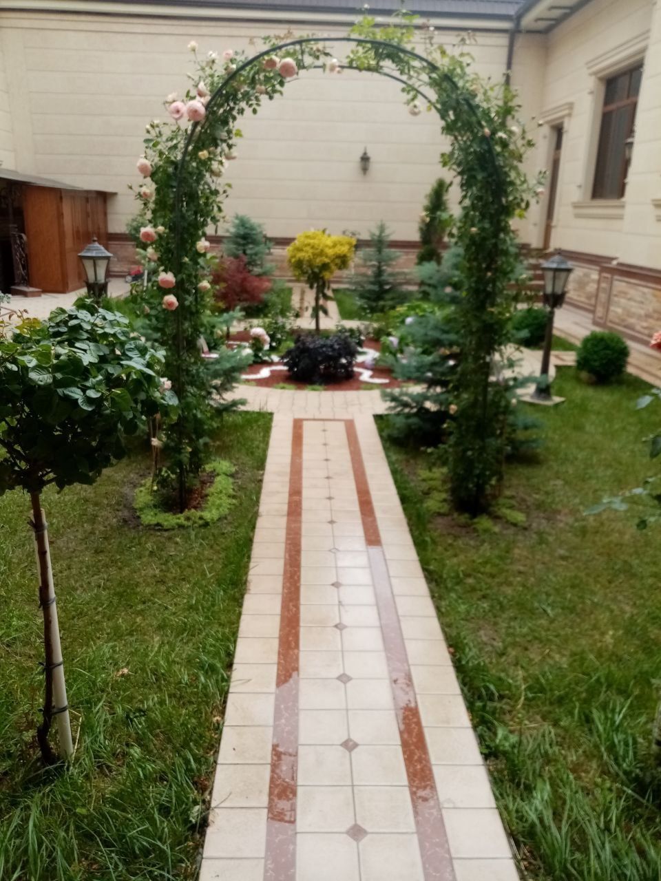 Gazon,Turli Xildagi Gullar Daraxtlar Ekish Xizmati