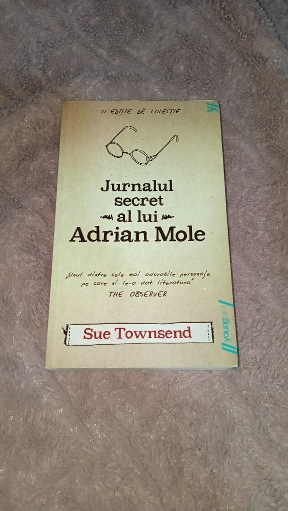 Jurnalul Secret a lui Adrian Mole, carte