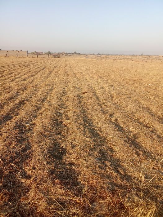 Yer sotiladi 60 sotix.