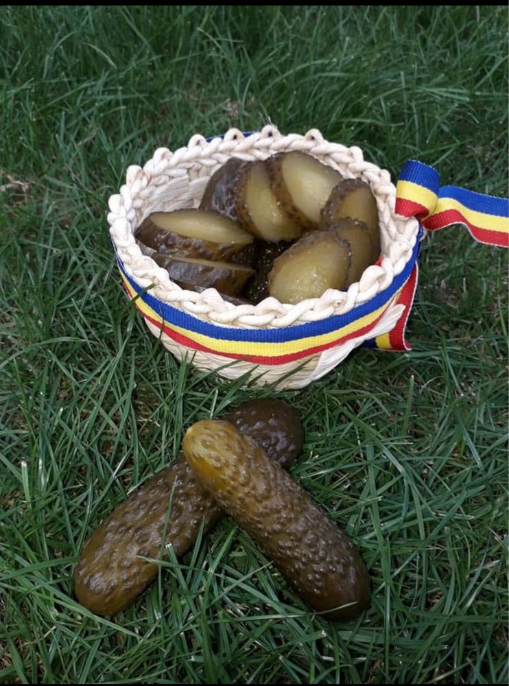 castraveti murati