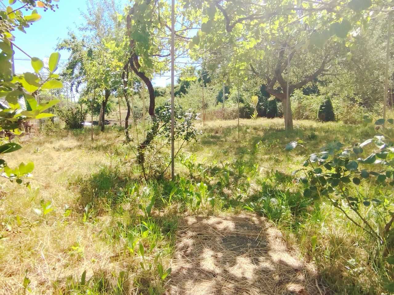 Продава се Къща в Перник, Изток - 86 кв.м за 640 €/кв.м - Снимка #4