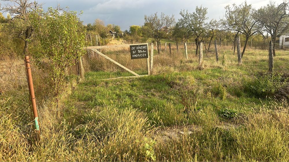 Tern intravilan ,ideal cabana situat in Lugasu de Jos