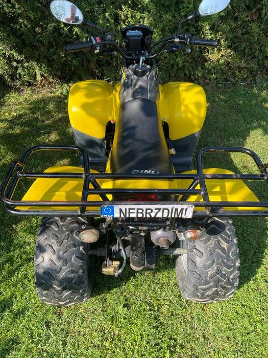 Vand atv Dinli 110 cm