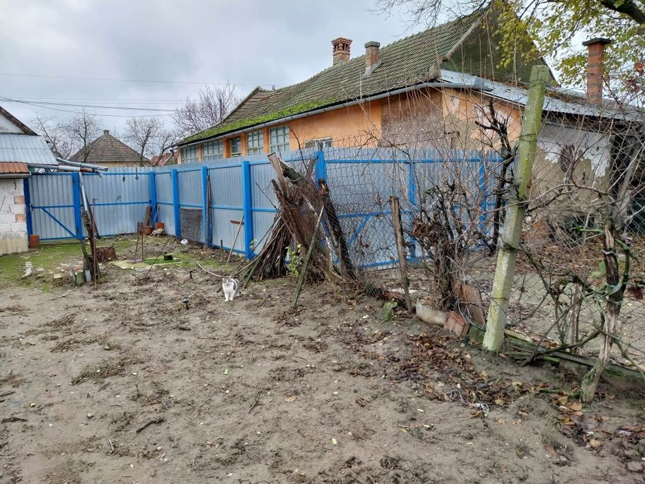 Casa de vânzare în Cenad județul Timis