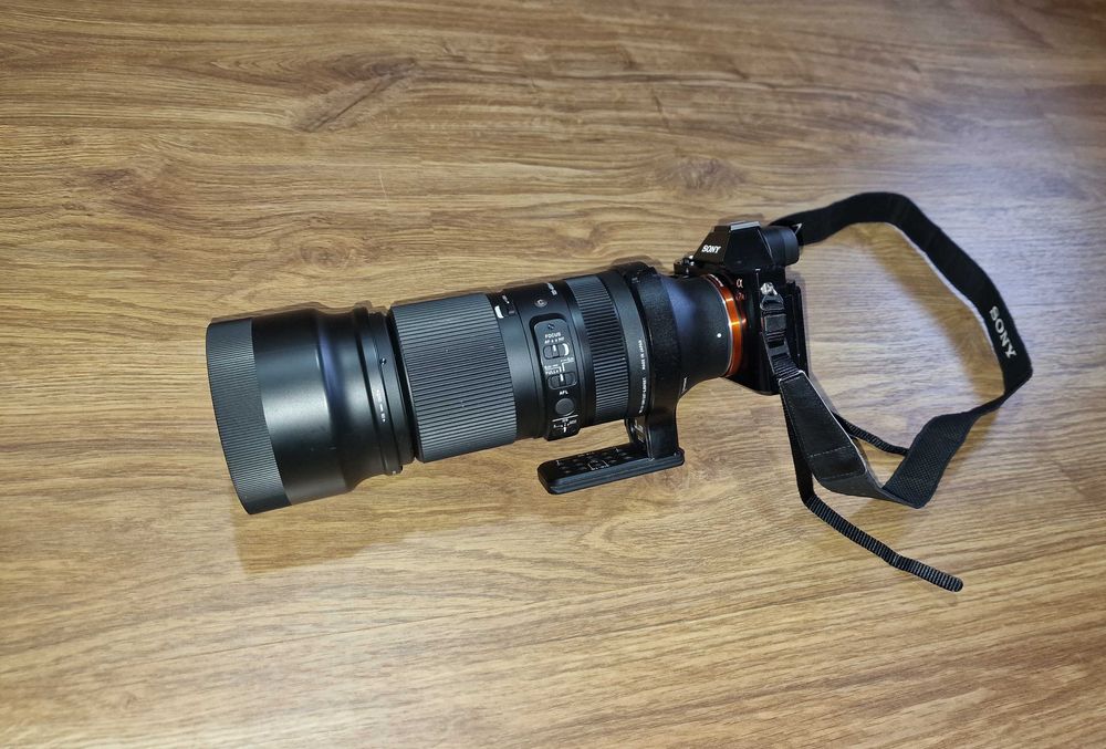 Sony A7R (36.2 MP) (2800 lei) + obiectiv Sigma 100-400 mm (4500 lei)