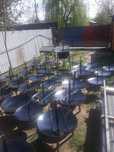 Disc Gtatar Taler ORIGINAL UTB