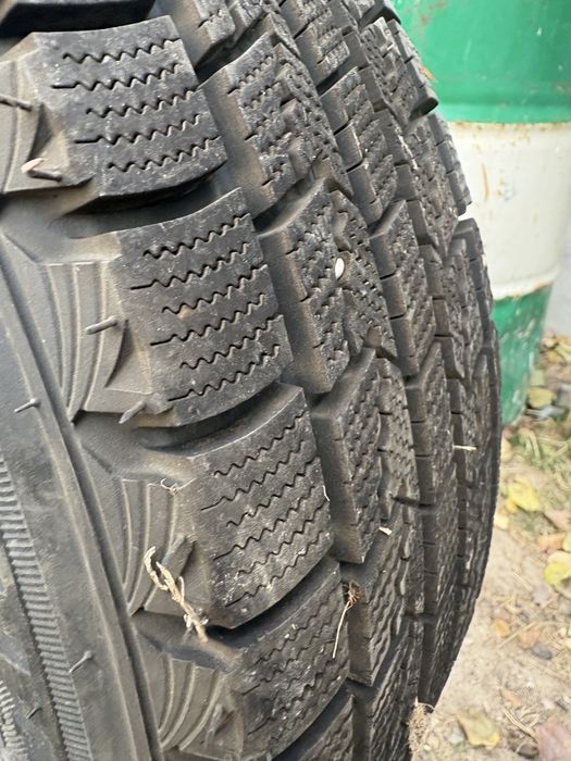 Зимный шина 175/65/14