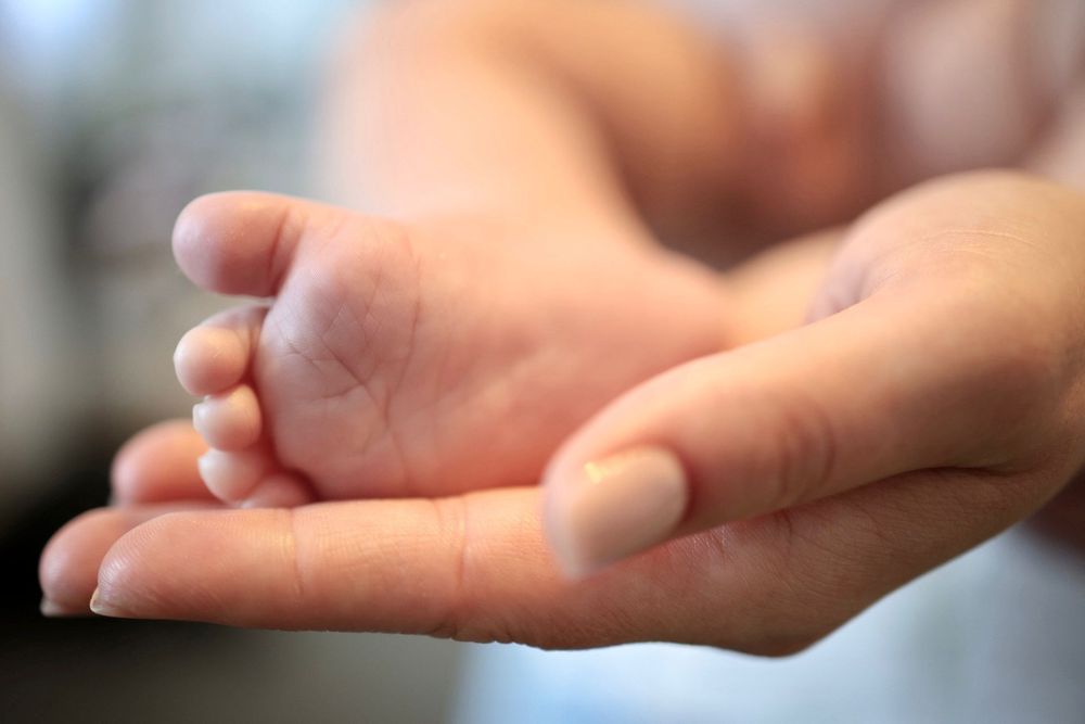 Fotograf/videograf (nunti, botezuri)