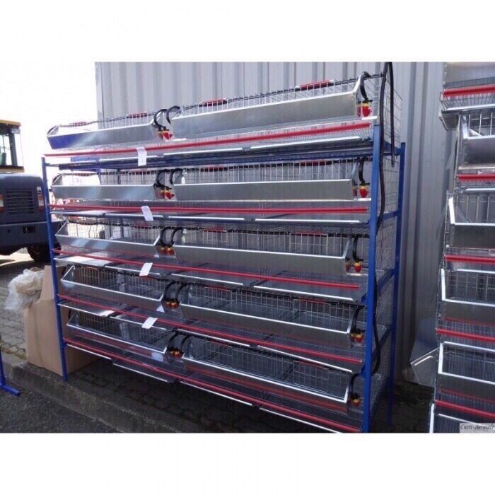 Modul 5 nivele de custi prepelite / 200 cm Produs NOU !!! Modul 5 nive