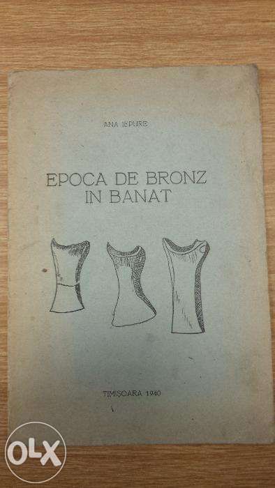 Epoca de bronz din Banat