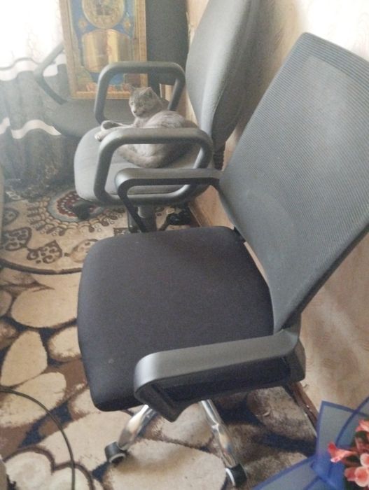 Ofisnaya kreslo xolati urtach xamma joyi ishlayydi